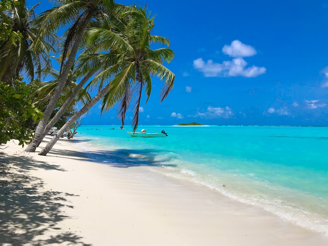 Tropical beach destination